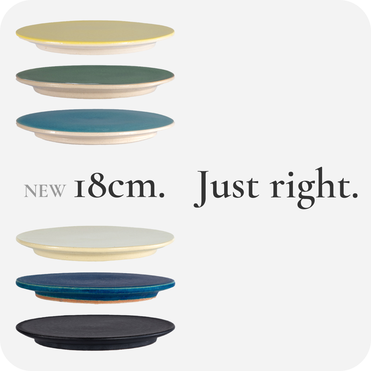 NEW 18cm. Just right. “Flat Plate Edition” – The HARVEST Collection