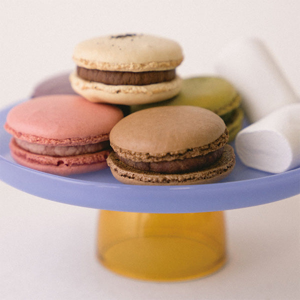 AMABRO (アマブロ) TWO TONE STAND Green × Blue グリーン ブルー フードスタンド