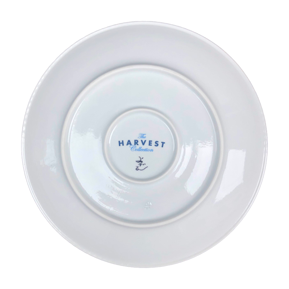 【HARVEST × イゲ皿 by よざん窯】段葛を歩くショーキチ 7寸皿【初回分完売/再入荷未定】