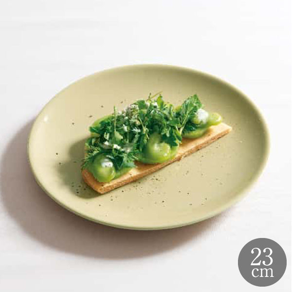 Saturnia(サタルニア) シビリアカラー ジンジャー デザートプレート 21cm 食器