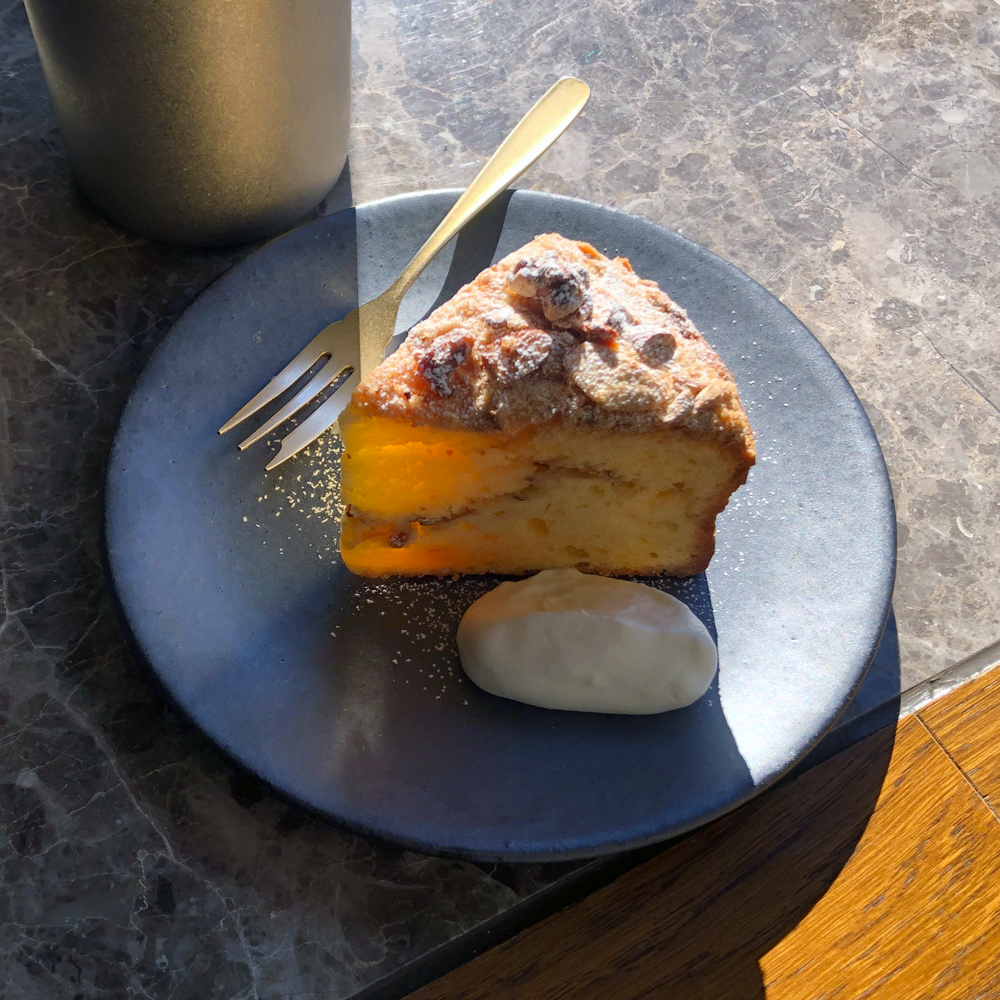 HARVEST kuro プレート 信楽焼 皿 18cm