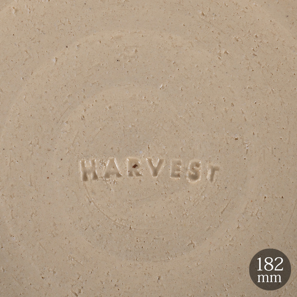 HARVEST CRAZE ハーベスト クレイズ 18cm フラットプレート イエロー 信楽焼 皿