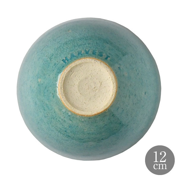 HARVEST CRAZE ハーベスト クレイズ ライスボウル ブルー 信楽焼 茶碗 皿