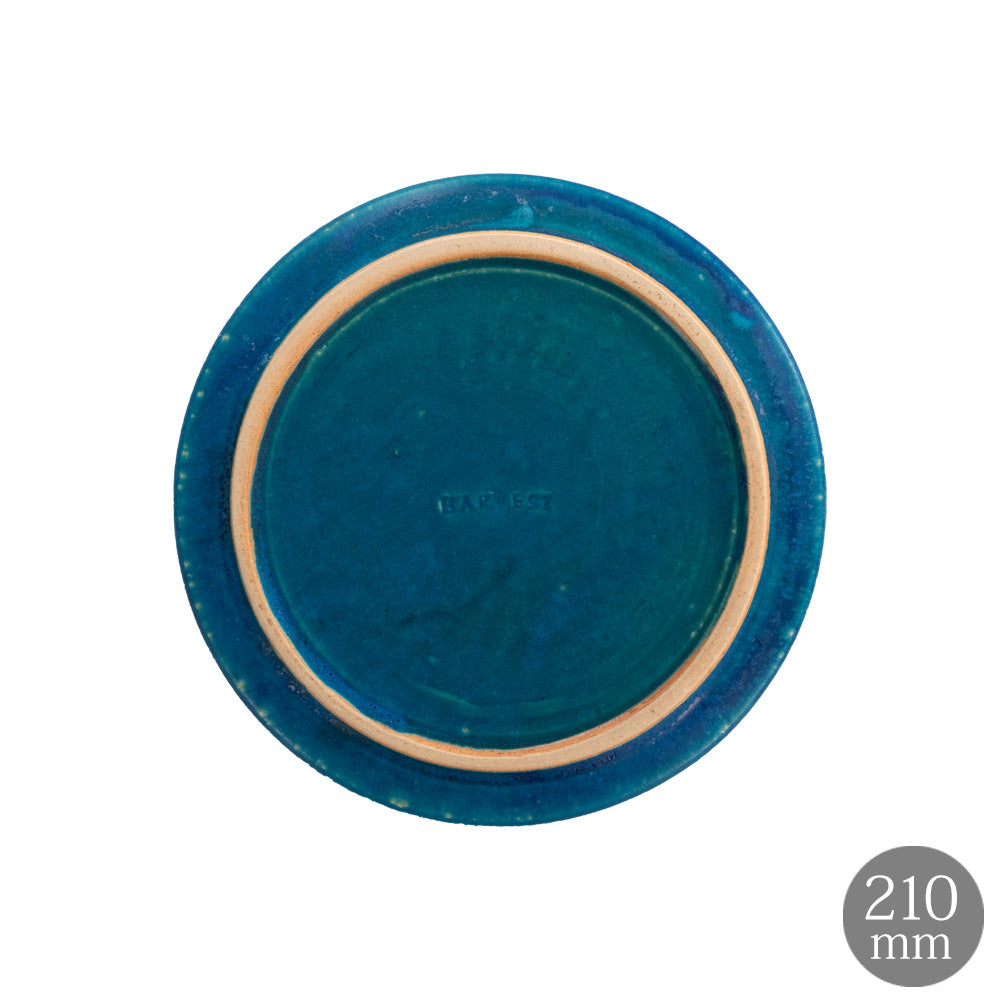 HARVEST BLUE VELVET ブルーベルベット フラットプレート 信楽焼 皿 21cm