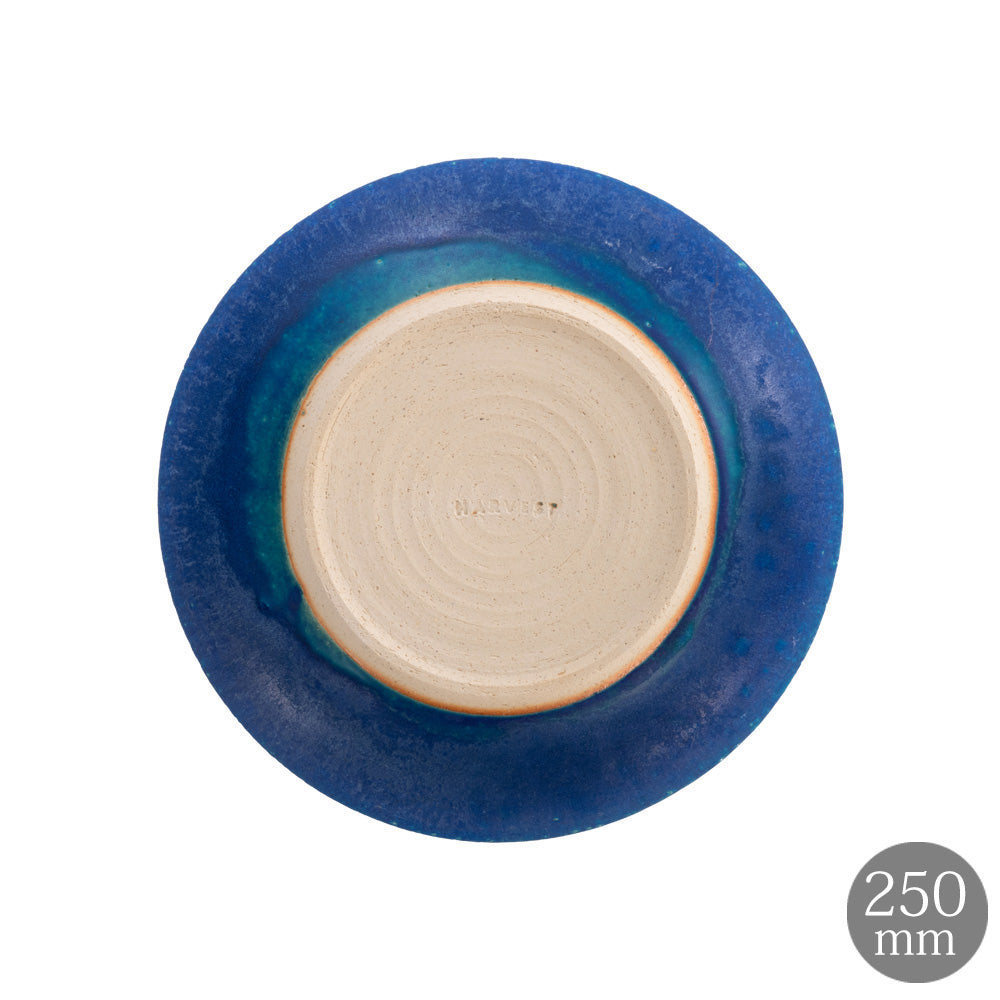 HARVEST BLUE VELVET ブルーベルベット ディーププレート 信楽焼 皿 深皿 25cm