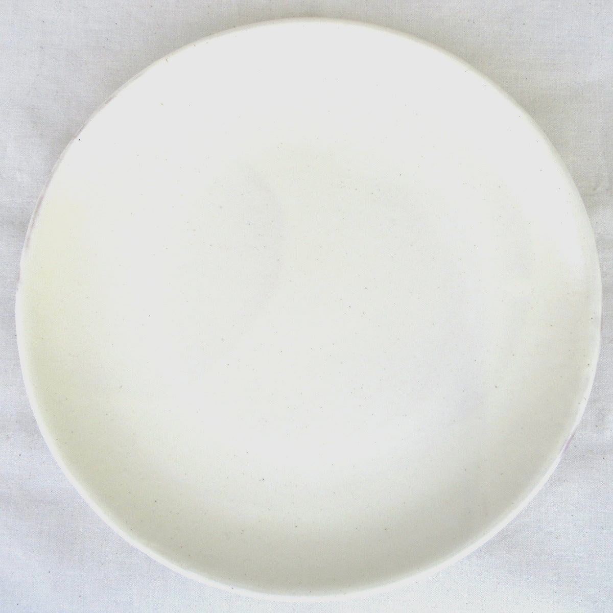 HARVEST shiro プレート 27.5cm 信楽焼 皿