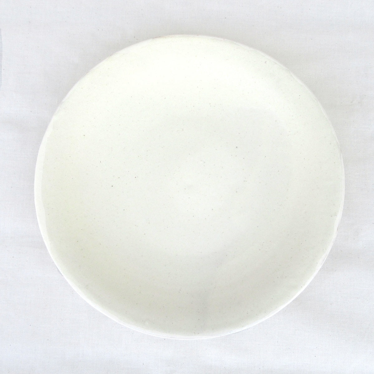 HARVEST shiro プレート 25.5cm 信楽焼 皿