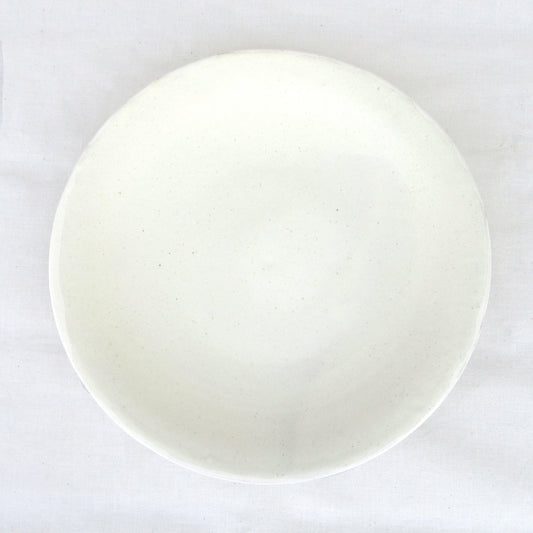 HARVEST shiro プレート 25.5cm 信楽焼 皿