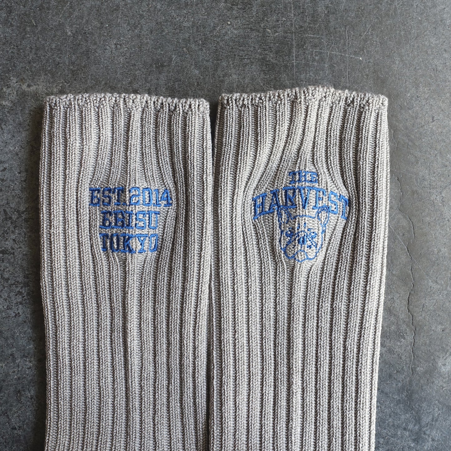 【再販・数量限定】靴下屋 | Tabio × HARVEST カレッジソックス 22.5～24.5cm