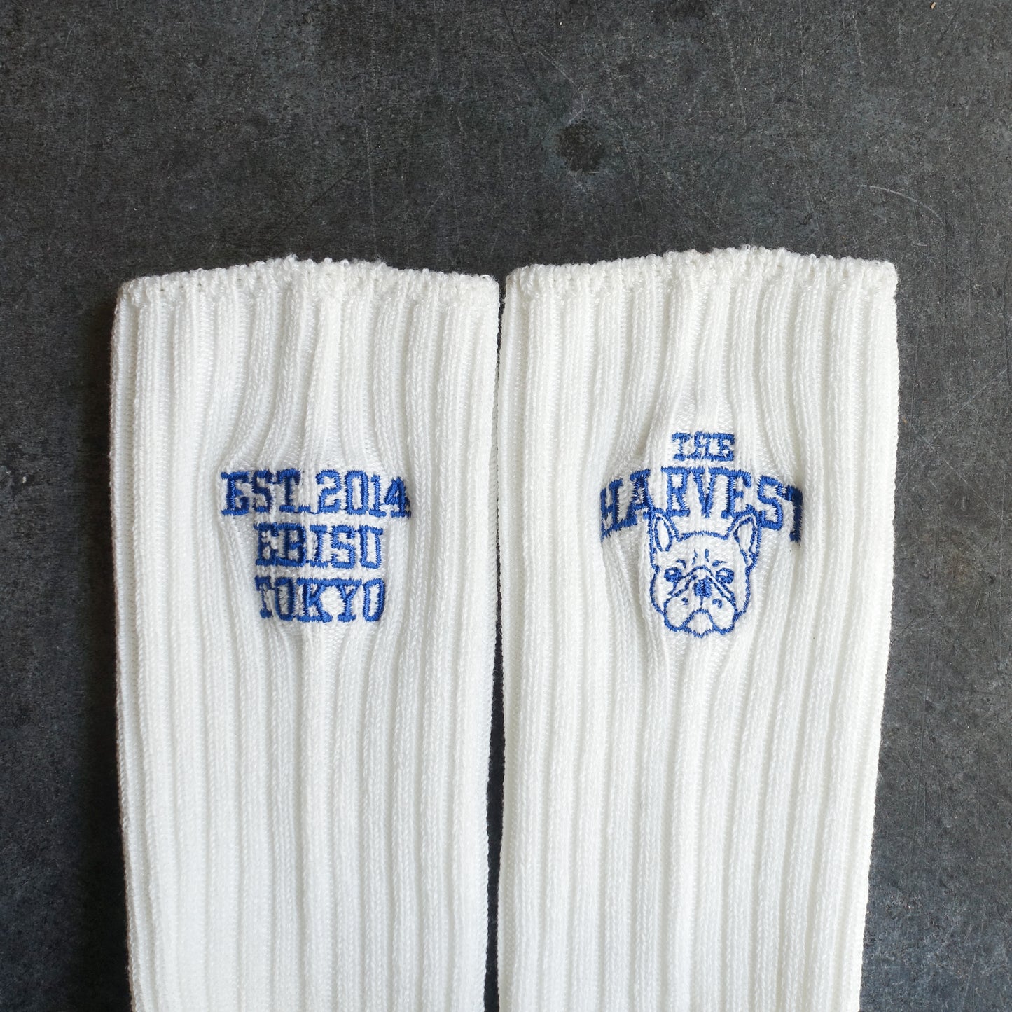 【再販・数量限定】靴下屋 | Tabio × HARVEST カレッジソックス 22.5～24.5cm