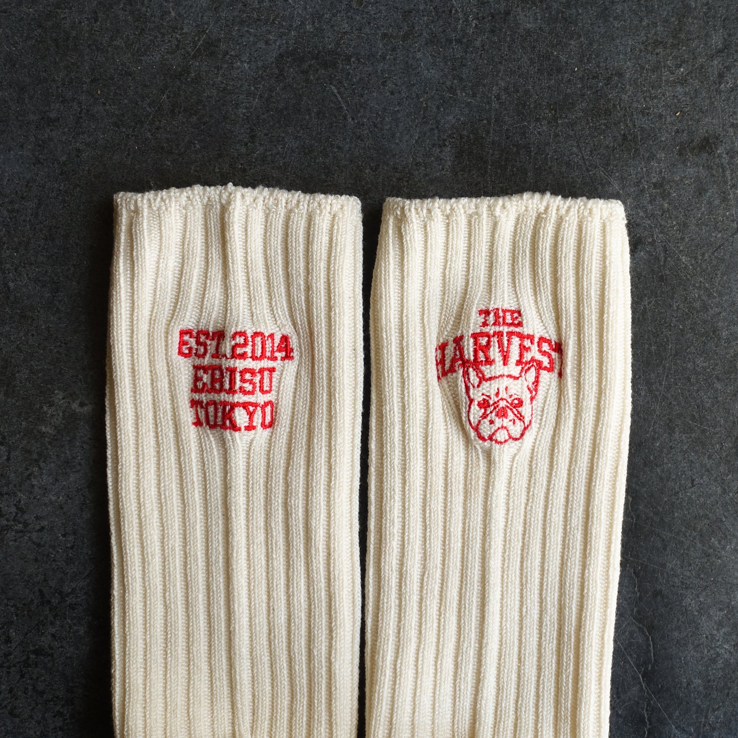 【再販・数量限定】靴下屋 | Tabio × HARVEST カレッジソックス 22.5～24.5cm