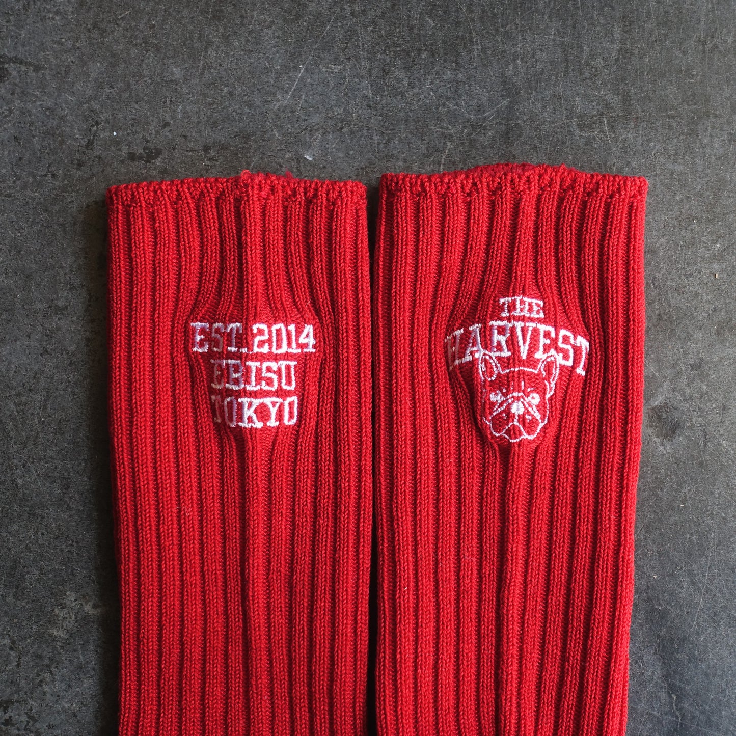 【再販・数量限定】靴下屋 | Tabio × HARVEST カレッジソックス 22.5～24.5cm