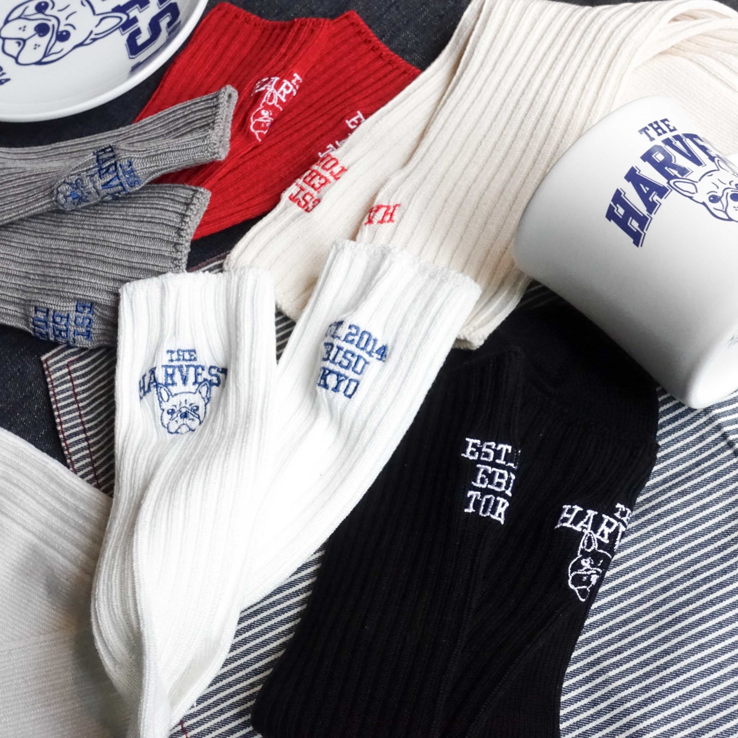 【再販・数量限定】靴下屋 | Tabio × HARVEST カレッジソックス