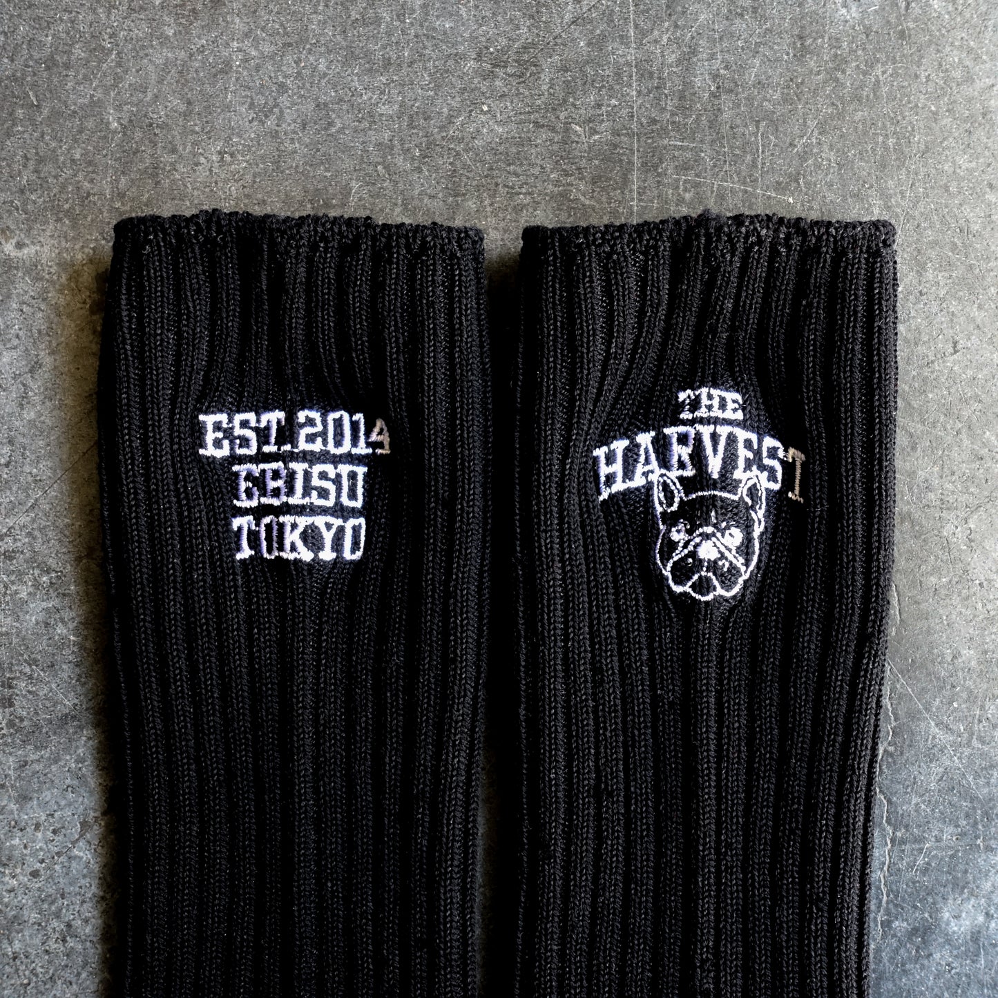 【再販・数量限定】靴下屋 | Tabio × HARVEST カレッジソックス 22.5～24.5cm