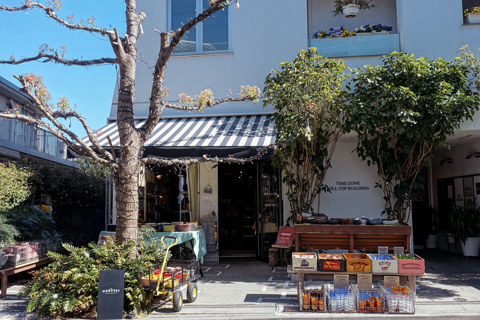THE HARVEST KITCHEN GENERAL STORE