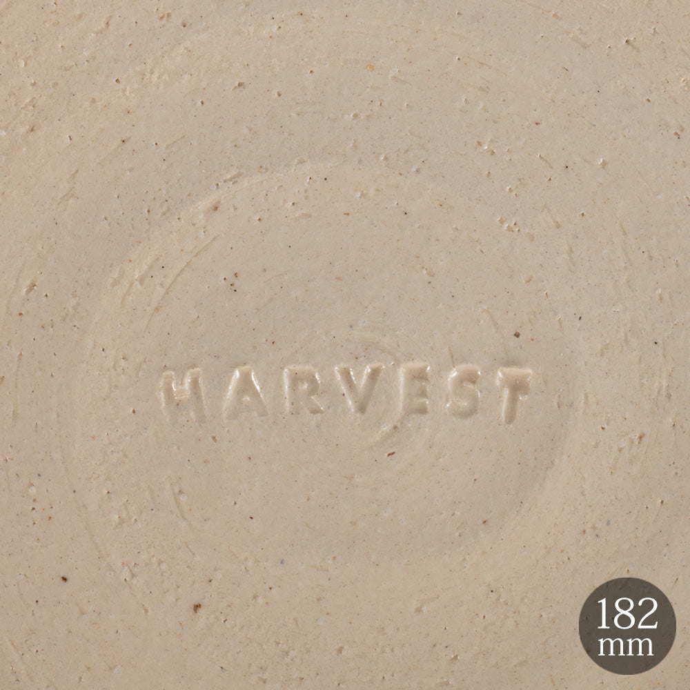 HARVEST CRAZE ハーベスト クレイズ 18cm フラットプレート ブルー 信楽焼 皿