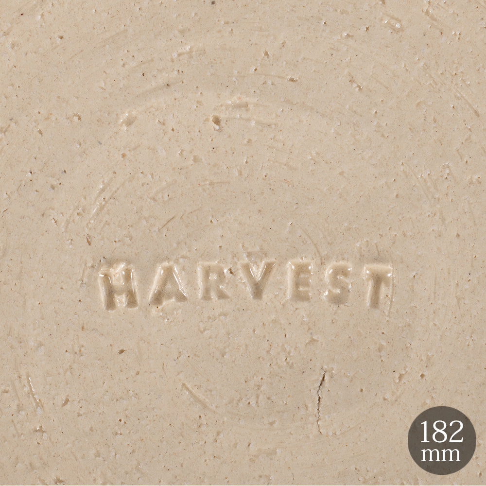 HARVEST CRAZE ハーベスト クレイズ 18cm フラットプレート グリーン 信楽焼 皿