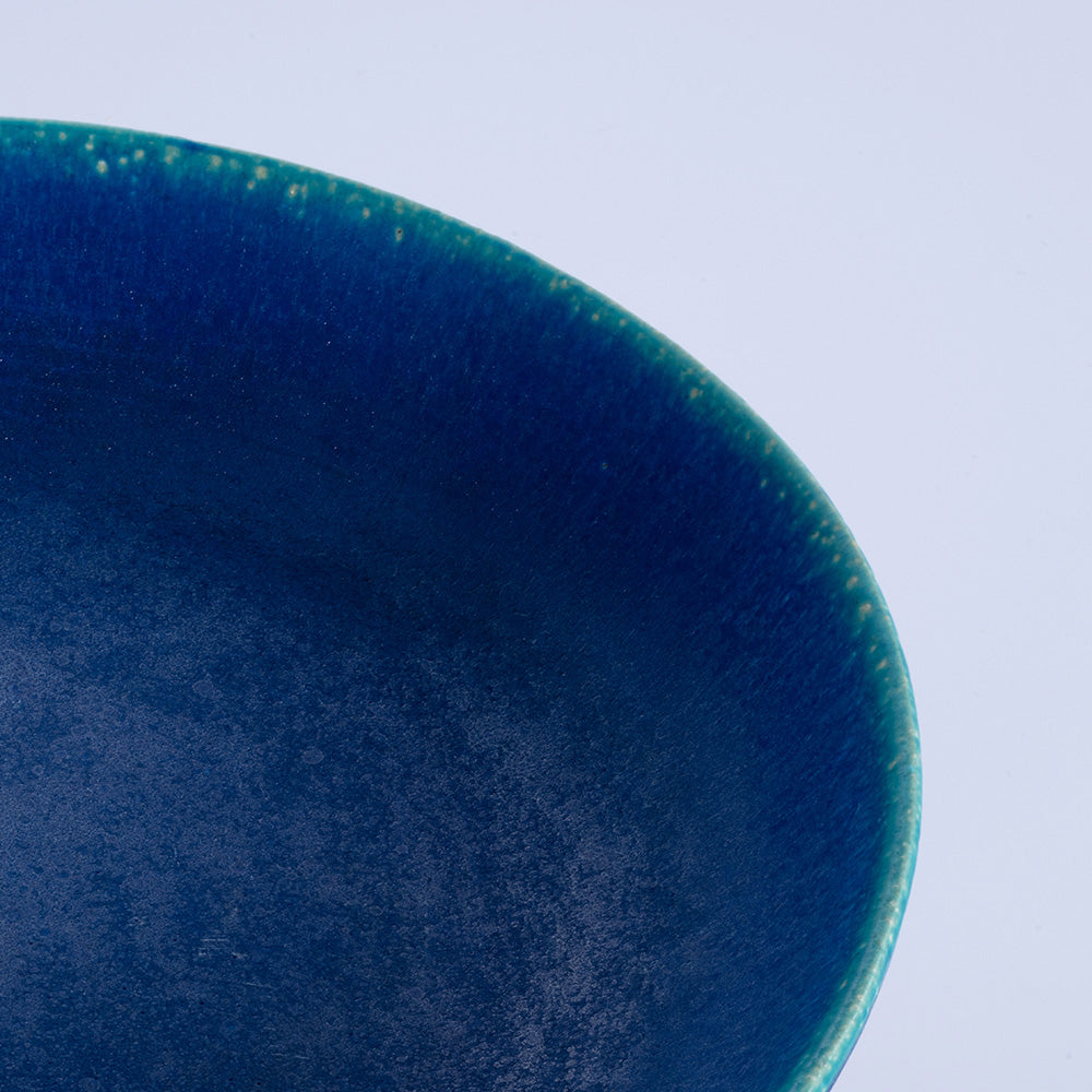 HARVEST BLUE VELVET ブルーベルベット ディーププレート 信楽焼 皿 深皿 25cm